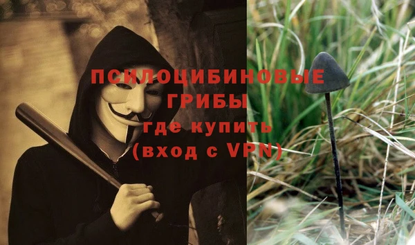 спиды Алзамай