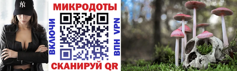 Псилоцибиновые грибы мухоморы  цена   Злынка 